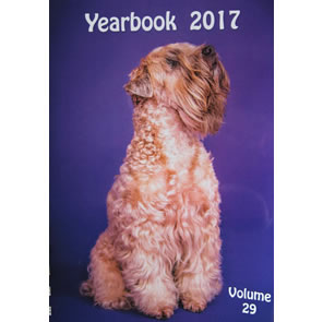 yearbook 2017