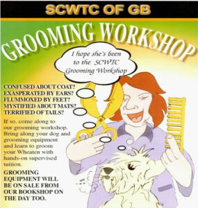 Grooming Workshop South