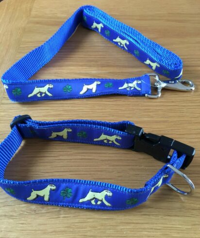 Collar and Lead Blue with blue inner