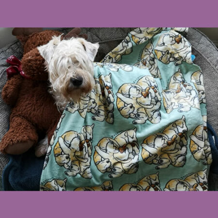 A pet blanket with wheaten design