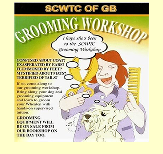 Grooming Workshop