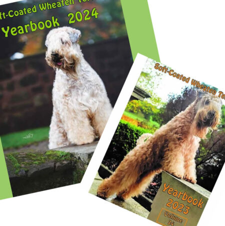 Year books 2023 and 2024