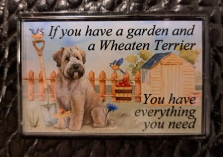 Soft coated wheaten terrier in garden fridge magnet