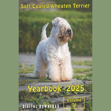 SCWT CLUB GB YEARBOOK DIGITAL 2025